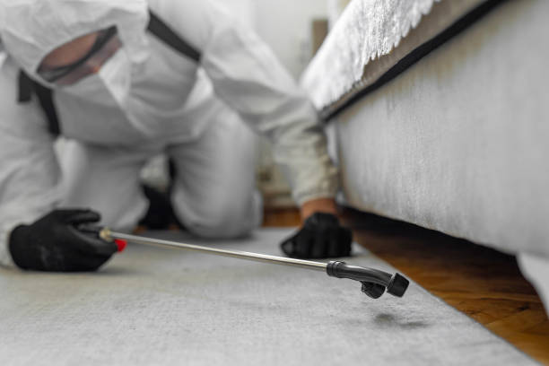 Professional Bed Bug Control technician working in Aberdeen, MS