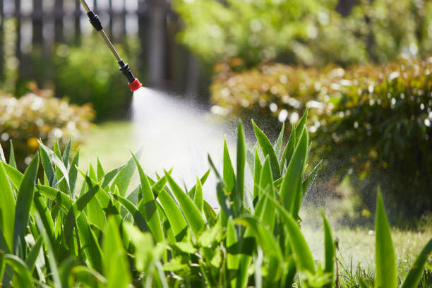 24/7 Emergency Bed Bug Control experts in Aberdeen, MS