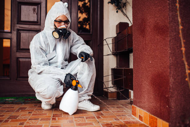 Reliable Bed Bug Control contractor in Aberdeen, MS by Nex Pest Control